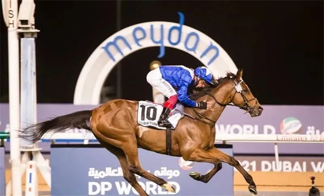 香港澳洲缺席 高多芬迪拜赛马世界杯三连霸 大陆赛马网 赛马网 赛马 (3).jpg