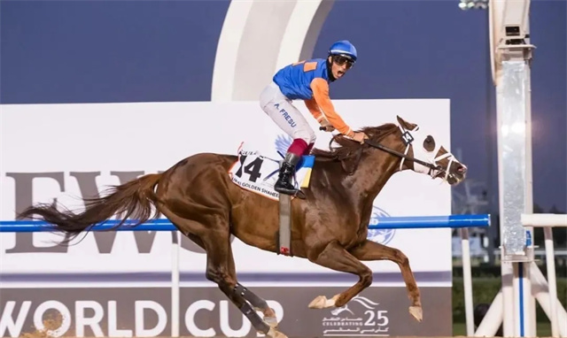 香港澳洲缺席 高多芬迪拜赛马世界杯三连霸 大陆赛马网 赛马网 赛马 (4).jpg