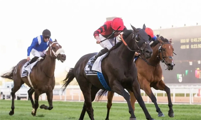 香港澳洲缺席 高多芬迪拜赛马世界杯三连霸 大陆赛马网 赛马网 赛马 (5).jpg