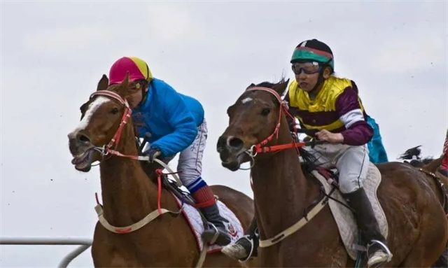马闻早报丨女骑手砀山120公里耐力赛夺冠!武汉迎中国赛马牛年第一跑 大陆赛马网 赛马 赛马网 (8).jpg