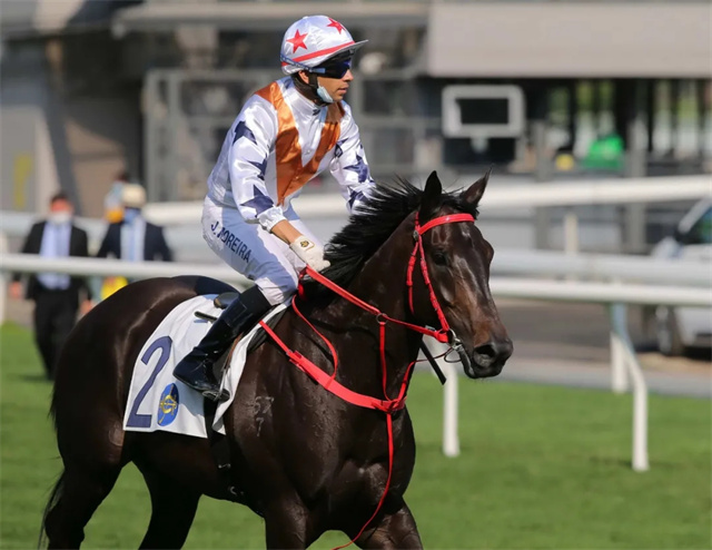 香港赛马会,沙田赛马会,明星骑师,赛马,马术,莫雷拉,冠军 (1).jpg