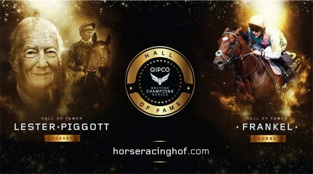 马闻早报丨“鸟巢之路”首次将U14 60cm级别分组,丁真家乡中小学开设马术课 (8).jpg