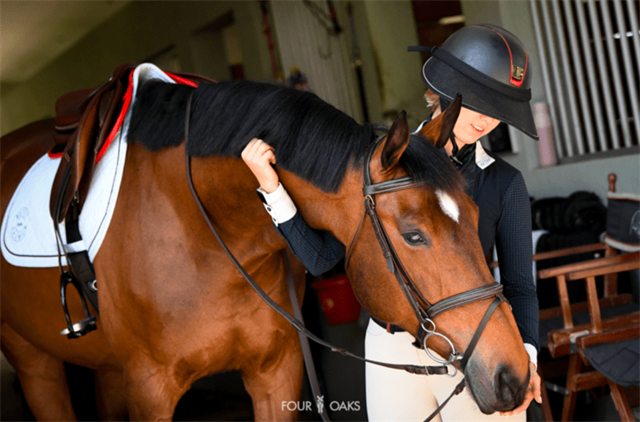 马闻早报丨“鸟巢之路”首次将U14 60cm级别分组,丁真家乡中小学开设马术课 (1).png