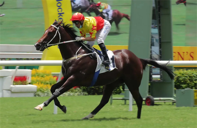 只有四匹马参赛:骑师莫雅相隔13年再夺日蚀大赛冠军 (4).jpg