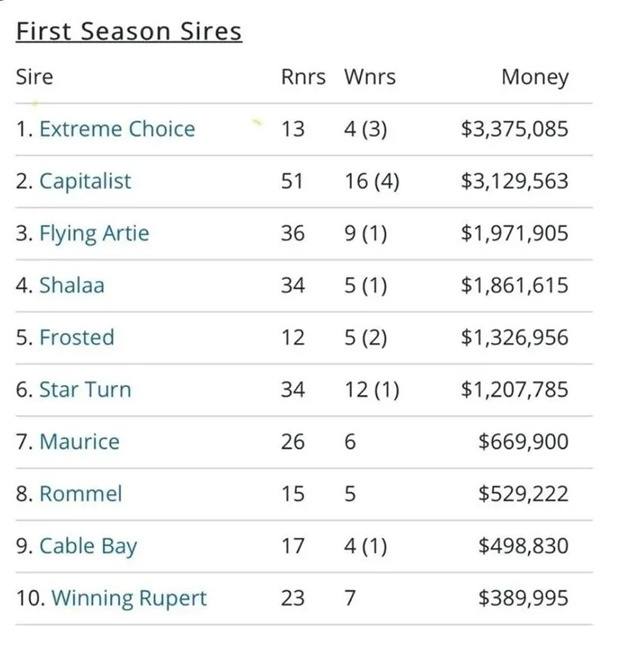 CHC杰士马主俱乐部及合作伙伴种公马包揽澳洲首季后代表现榜前三 (1).jpg
