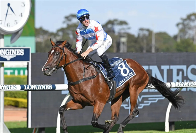 CHC杰士马主俱乐部及合作伙伴种公马包揽澳洲首季后代表现榜前三 (4).jpg