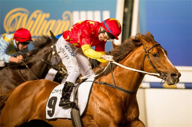 CHC杰士马主俱乐部及合作伙伴种公马包揽澳洲首季后代表现榜前三 (2).jpg