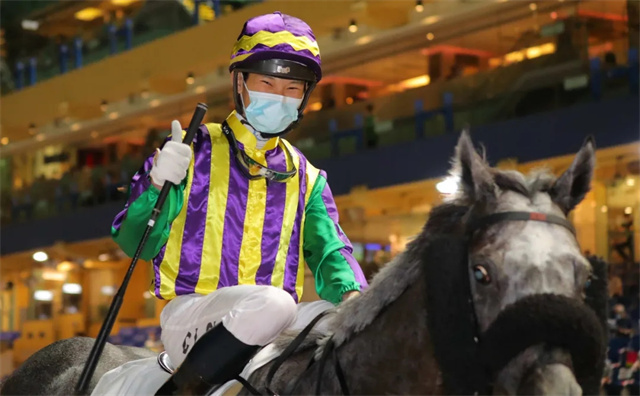 马闻早报丨马主求购110CM级别进口温血马,玉龙10位练马师披挂上阵 (17).jpg