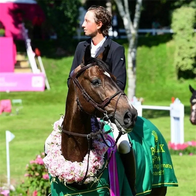 马闻早报丨大庆即将举办中马协骑手考核,甘肃“六月六”民族传统赛马大会举办 (6).jpg