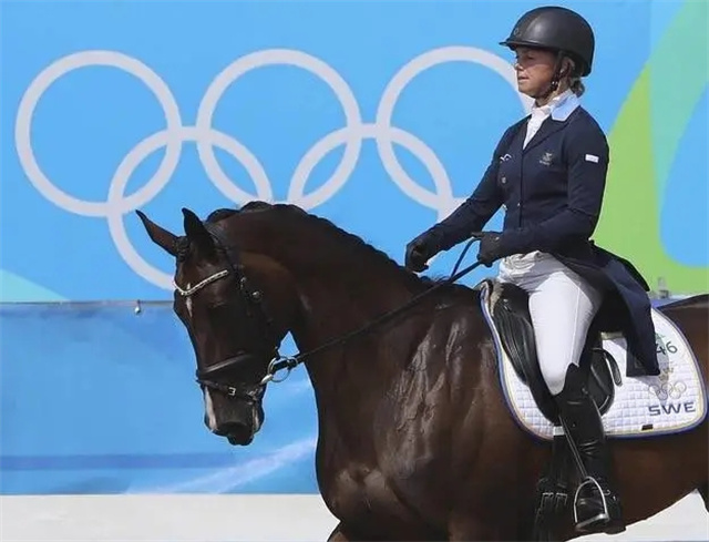 北京时间7月23日,万众瞩目的东京奥运会开幕式在北京时间19点盛大开幕,奥运代表团进场环节当中,有两位马术运动员担任了各自祖国的开幕式旗手,而且都是女性运动员! (1).jpg