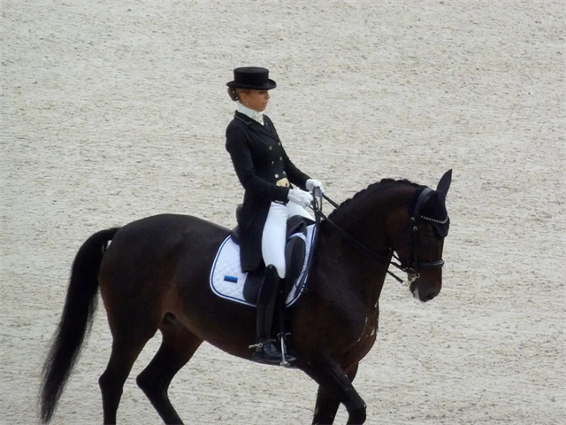 北京时间7月23日,万众瞩目的东京奥运会开幕式在北京时间19点盛大开幕,奥运代表团进场环节当中,有两位马术运动员担任了各自祖国的开幕式旗手,而且都是女性运动员! (3).jpg