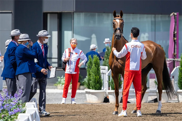 栾树,于谦,黄晓明,赛马,马术,汪峰,黄渤,吴京,冯小刚 (4).jpg