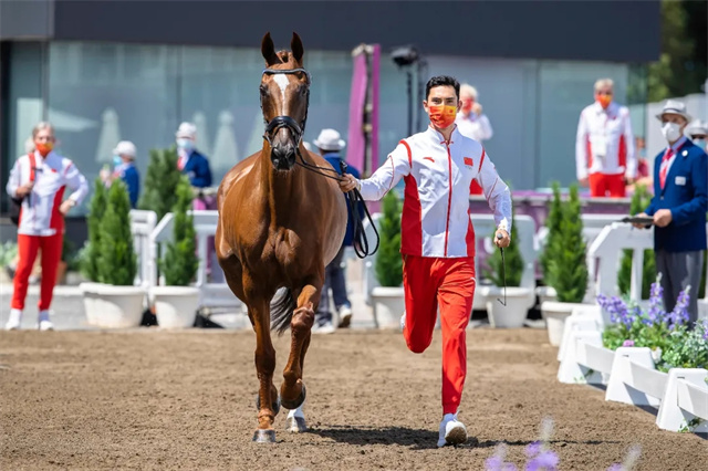 栾树,于谦,黄晓明,赛马,马术,汪峰,黄渤,吴京,冯小刚 (5).jpg