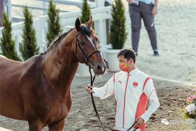 北京时间7月31日下午1600,东京奥运会马术项目第三项比赛——场地障碍赛个人赛的验马工作如期上演。共有来自全球35个国家和地区的93匹赛驹(含替补赛驹)参加了验马工作。 (1).jpg