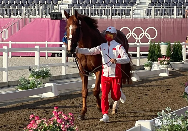 北京时间7月31日下午1600,东京奥运会马术项目第三项比赛——场地障碍赛个人赛的验马工作如期上演。共有来自全球35个国家和地区的93匹赛驹(含替补赛驹)参加了验马工作。 (2).jpg