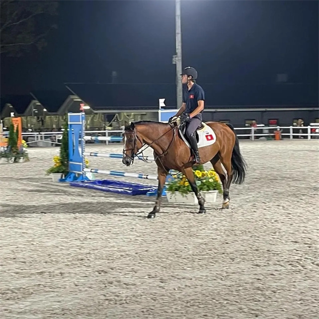 东京奥运会,中国香港,马术三项赛,赛马,马术 (3).jpg