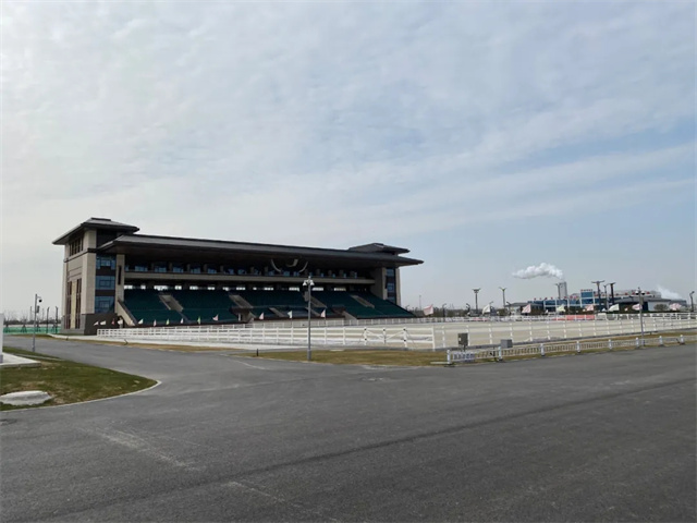 奥运骑手,中国马术,全运会,赛马,马术 (7).jpg