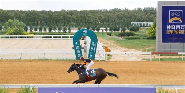 8月21日的玉龙国际赛马场精彩纷呈,当天的赛事总奖金为76万元,57匹优骏在五场比赛中展开激烈角逐。在第四场四班赛(40—60分)途程1200米赛事中,和力马业董事长张建道旗下4岁明星雌马“和力红星”以超5个马位拿下头马,夺得本赛季的第二个冠军荣衔。 (4).jpg