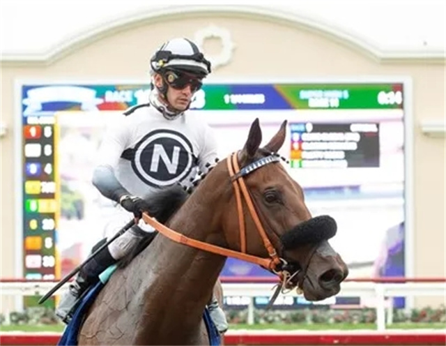 马闻早报丨新科奥运冠军携众骑手齐聚环球马术冠军赛汉堡站,玉龙赛马赛制时间调 (4).jpg