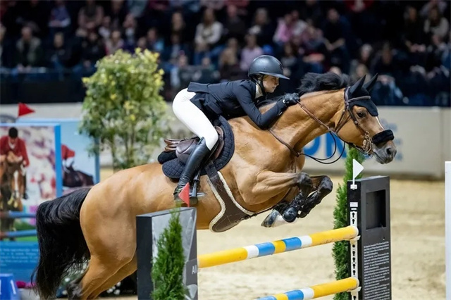 乔布斯,比尔·盖茨,组队夺冠,马术,赛马 (5).jpg