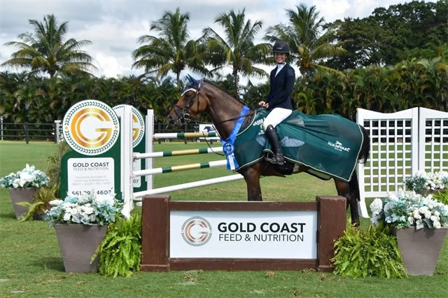 短途冠军,骐骥跃龙,玉龙秋季拍卖会,马术,赛马 (4).jpg