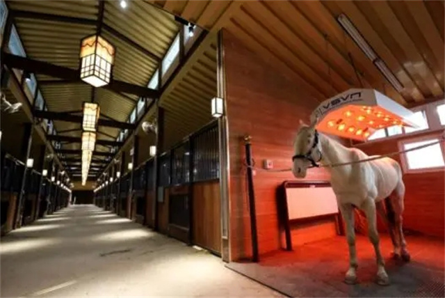 陕西全运会,马房,马术,赛马 (5).jpg