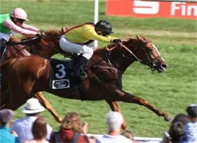 马闻早报丨湖北省马术俱乐部联赛黄金周来袭!香港马会行政总裁当选国际赛马组织联盟主席 (6).jpg