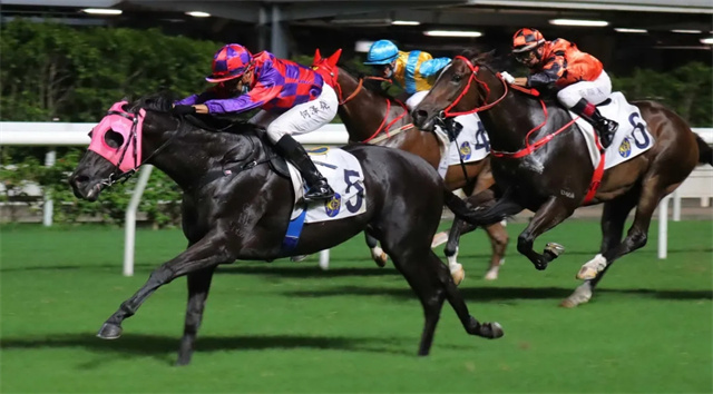 马闻早报丨广东新疆上海获十四运会盛装舞步团体前三,何泽尧迎新赛季首胜 (8).jpg