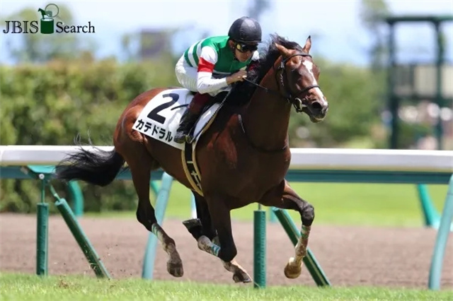 9月20日,中国马主联盟主席、玉龙投资集团董事长张月胜对马主联盟全体会员以及国内外关心马主联盟发展的爱马人送去了中秋节祝福 (9).jpg