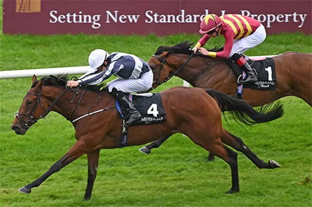 陕西全运会场地障碍团体赛:上海队夺冠 内蒙古队和浙江队分获亚军和季军 (4).jpg