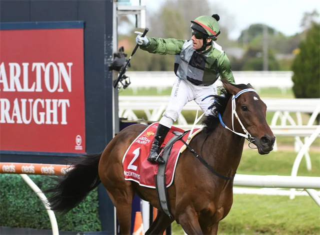 马闻早报丨威海市马术协会成立,500万澳币考菲尔德杯落幕 (7).jpg