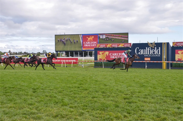 马闻早报丨威海市马术协会成立,500万澳币考菲尔德杯落幕 (8).jpg