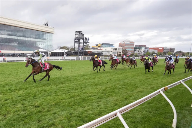 马闻早报丨威海市马术协会成立,500万澳币考菲尔德杯落幕 (9).jpg