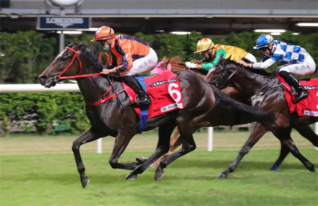 马闻早报丨年青马西坞大赛正赛首日精彩回顾,“迪拜威”迎来第46个锦标赛冠军子嗣 (14).jpg