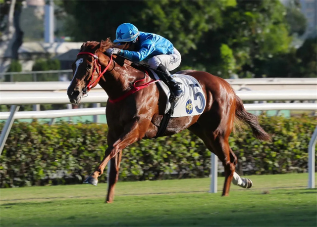 马闻早报丨温州市会马术比赛落幕,马文化艺术公益展览即将举行 (9).jpg