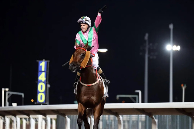 东北马联,黄龙杯,场地障碍,马术,赛马 (11).jpg