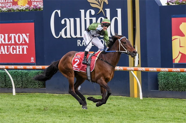 马闻早报丨陕西顺利举办中马协星级专业教练员培训考核,墨尔本杯赛马节如期举 (13).jpg