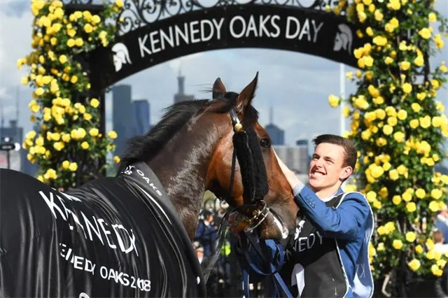 马闻早报丨2021全国马术三项赛锦标赛延期,“大鸣大放”首个一级赛冠军子嗣出现 (6).jpg