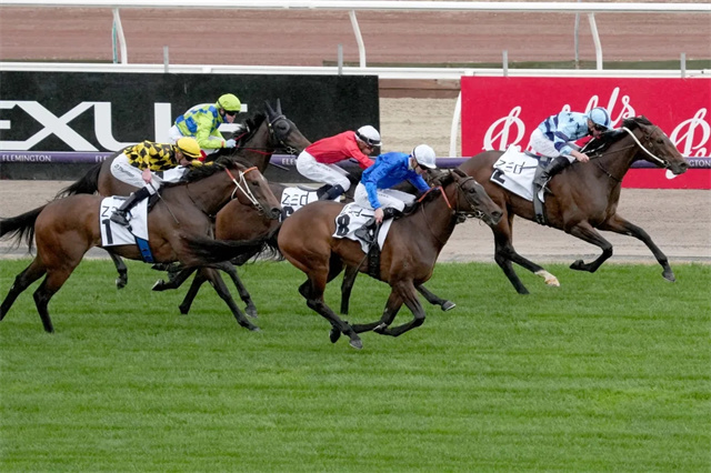 马闻早报丨2021全国马术三项赛锦标赛延期,“大鸣大放”首个一级赛冠军子嗣出现 (7).jpg