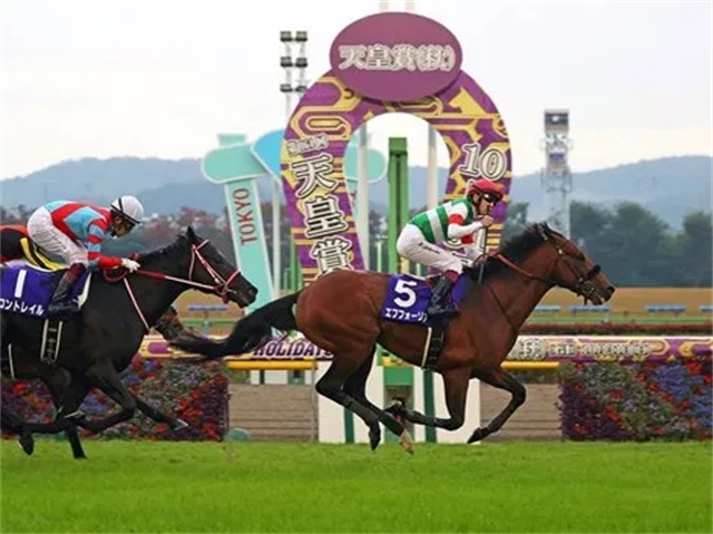 马闻早报丨湖北青少年马术锦标赛延期,总奖金高达2800万美元的育马者杯赛马日来袭! (3).jpg