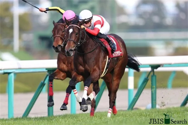 马闻早报丨广东省马术联赛第五站延期,墨尔本杯赛马爆发疫情 (5).jpg