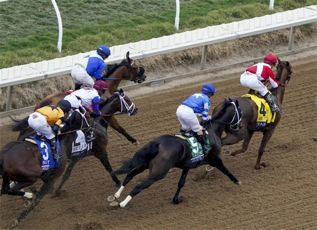 马闻早报丨深圳南山区青少年马术锦标赛(维多丽亚站)举行,3位骑师用鞭过度罚款5000美元创纪 (5).jpg