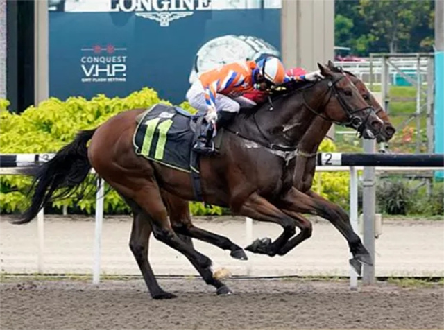 马闻早报丨深圳南山区青少年马术锦标赛(维多丽亚站)举行,3位骑师用鞭过度罚款5000美元创纪 (7).jpg