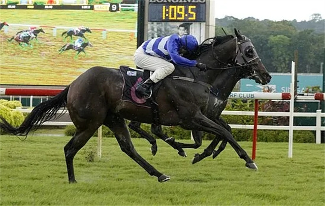 马闻早报丨通辽市马产业发展规划座谈会召开,多名大陆骑师加入澳门赛马会 (12).jpg