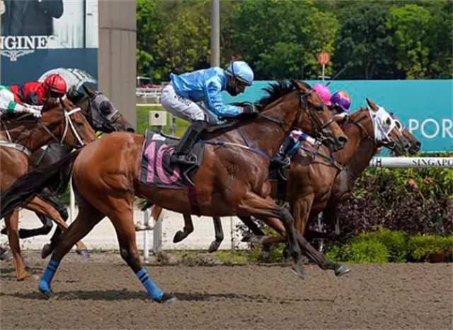 马闻早报丨暴雪天东北小男孩骑马去吃米线,母亲回应:锻炼儿子胆量 (8).jpg