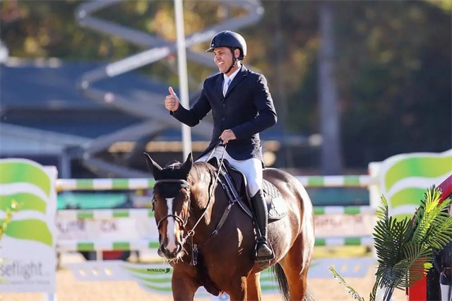 大陆马,新西兰纯血马,快跳拍卖会,马术,赛马, (6).jpg