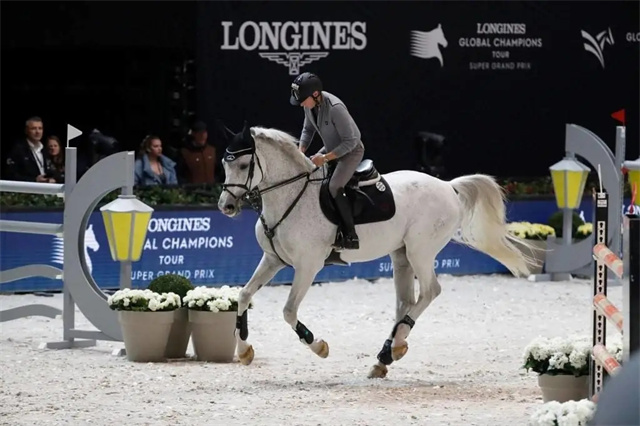 马闻早报丨中国兽医协会马兽医分会成立,香港马王“金枪六十”周日复出 (8).jpg