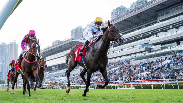 马闻早报丨2022年FEI青少年场地障碍资格赛12月举行,香港马王“金枪六十”15连胜 (2).jpg