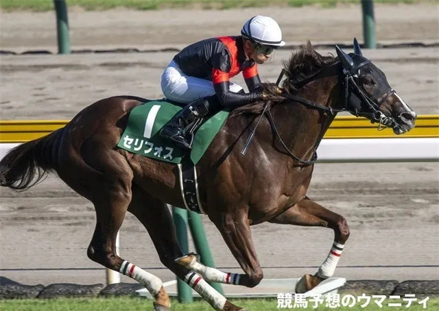 马闻早报丨中马协在天津举办马术国家级技术官员培训考核,“雍容尔雅”有望出战凯旋门大赛 (3).jpg