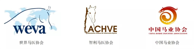 马闻早报丨新疆一镇被授予“万马之乡”,英国赛马邮报聚焦中国马主联盟2022赛事计划 (7).jpg